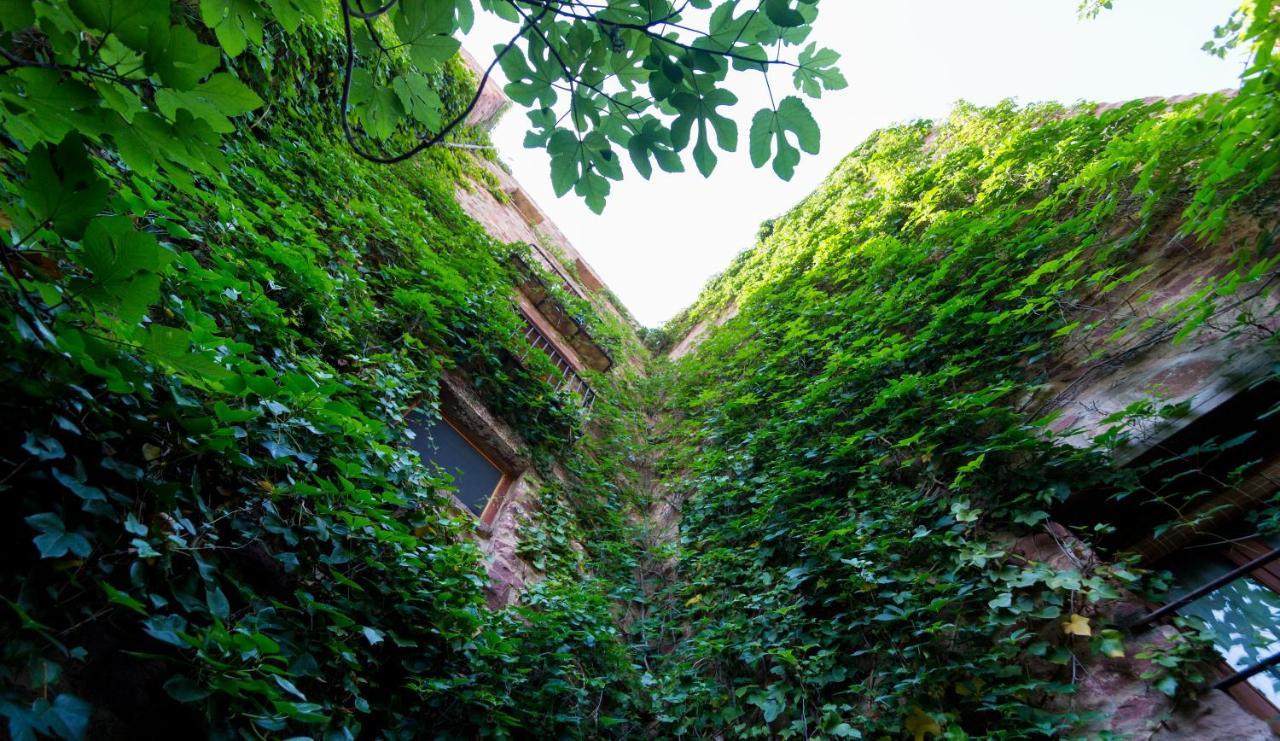 El Jardin Vertical Vilafames Buitenkant foto